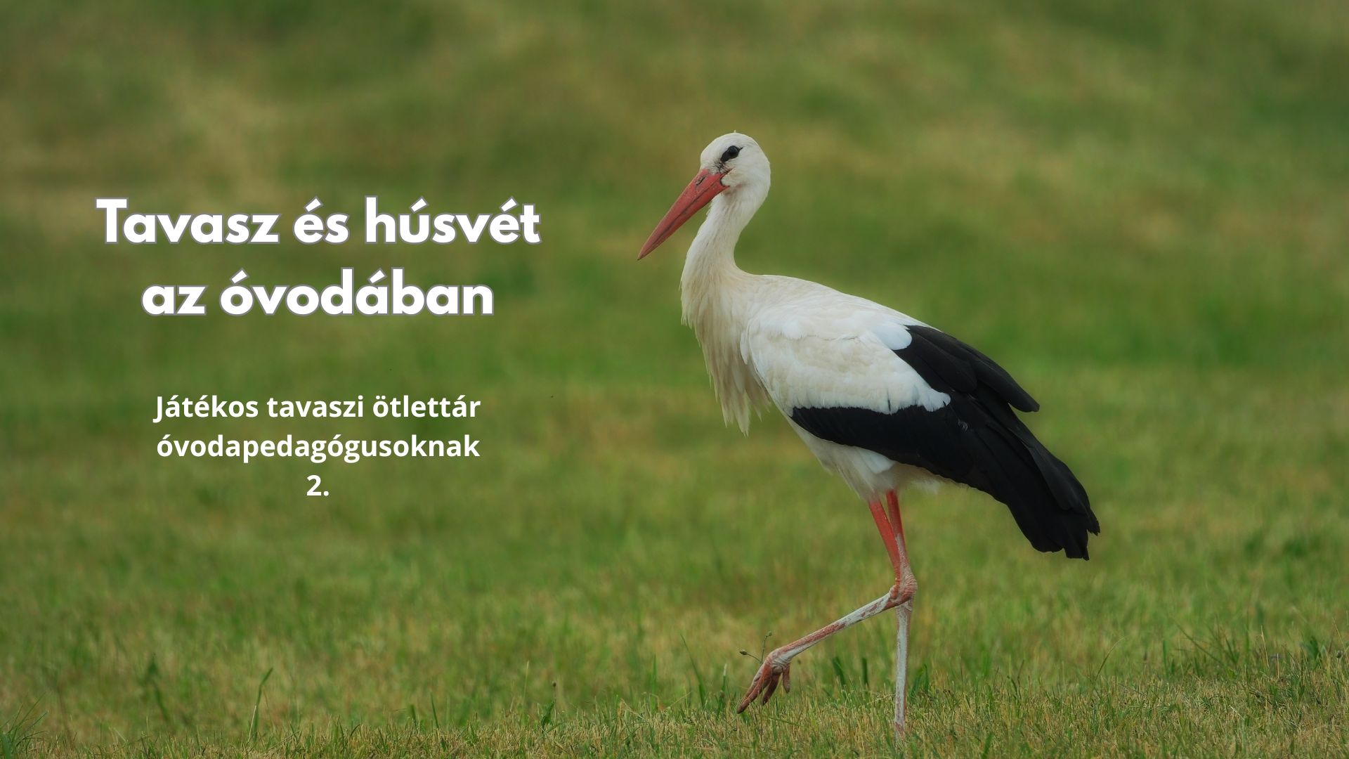 Tavasz és húsvét az óvodában - Játékos tavaszi ötlettár óvodapedagógusoknak 2.